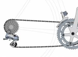 How many gears should a bicycle have?